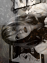 //meaghanmartin.gportal.hu/portal/meaghanmartin/image/gallery/1287172885_88.png