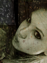 //meaghanmartin.gportal.hu/portal/meaghanmartin/image/gallery/1287232396_23.png